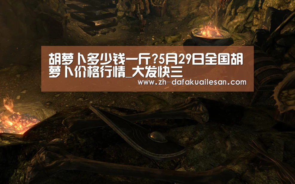 胡萝卜多少钱一斤?5月29日全国胡萝卜价格行情_大发快三(图1) 大发快三