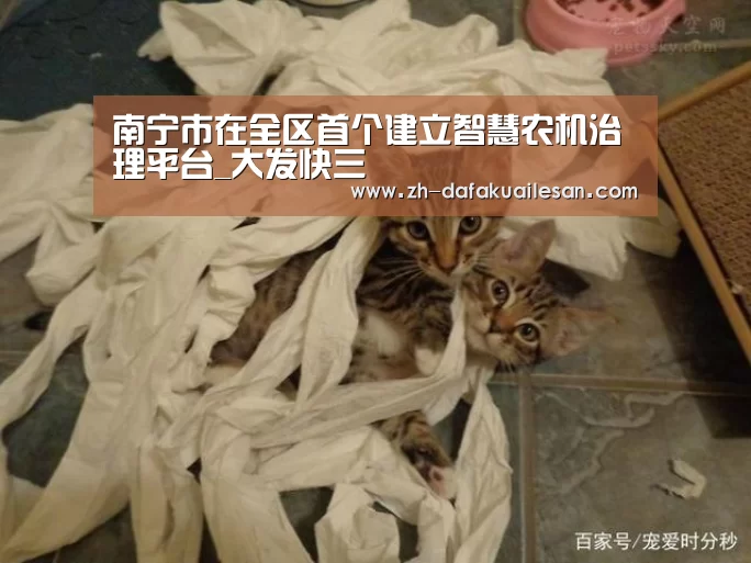 南宁市在全区首个建立智慧农机治理平台_大发快三(图1) 大发快三