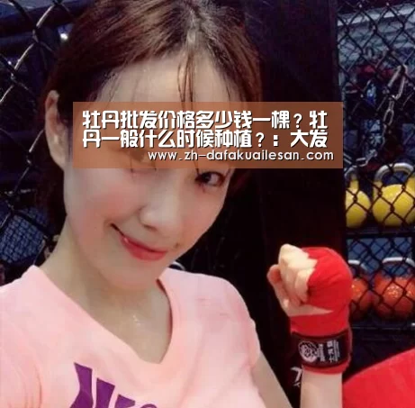 大发快三