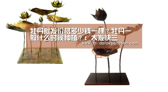 大发快三