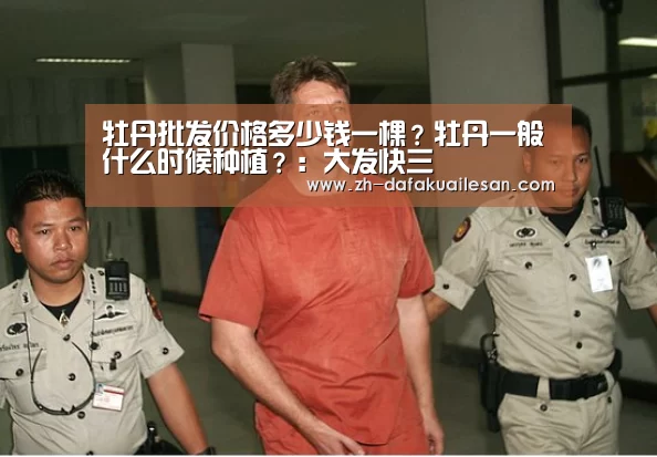 大发快三