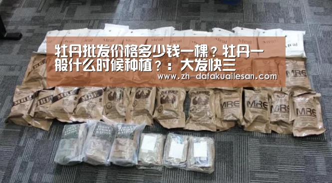大发快三