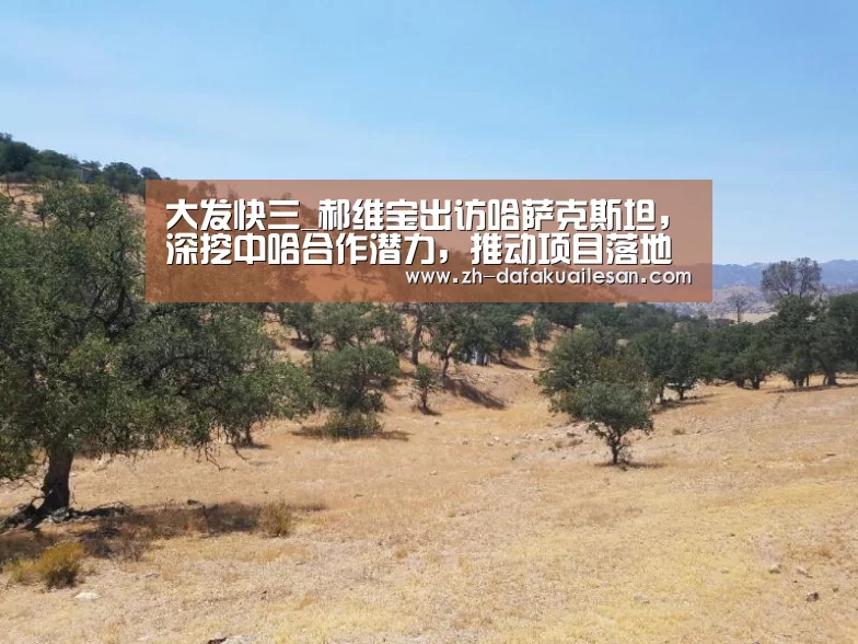 大发快三_郝维宝出访哈萨克斯坦,深挖中哈合作潜力,推动项目落地(图1) 大发快三
