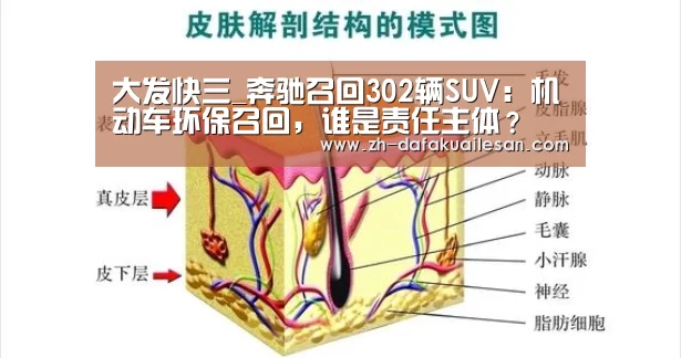 大发快三_奔驰召回302辆SUV:机动车环保召回,谁是责任主体?(图2) 大发快三