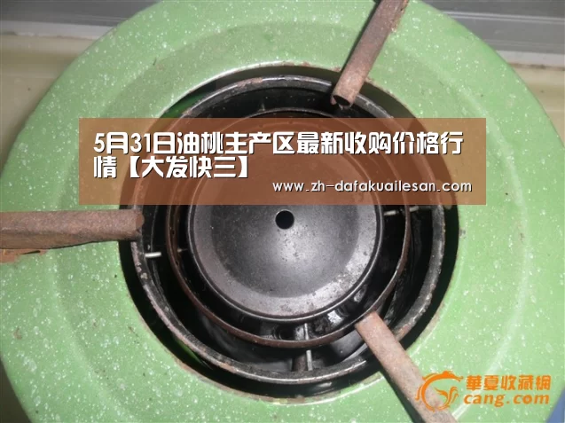 5月31日油桃主产区最新收购价格行情【大发快三】(图1) 大发快三