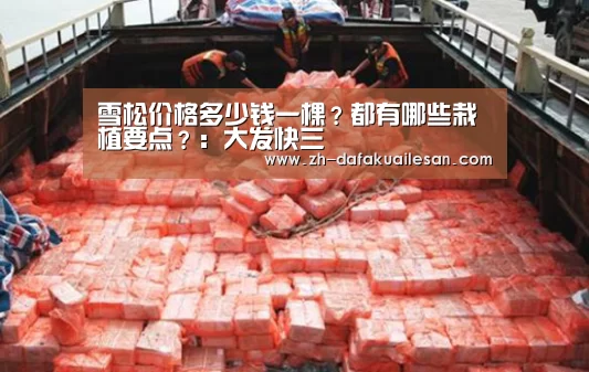 大发快三