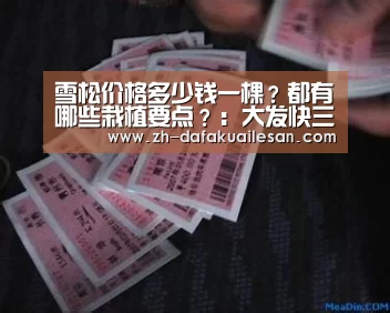 大发快三