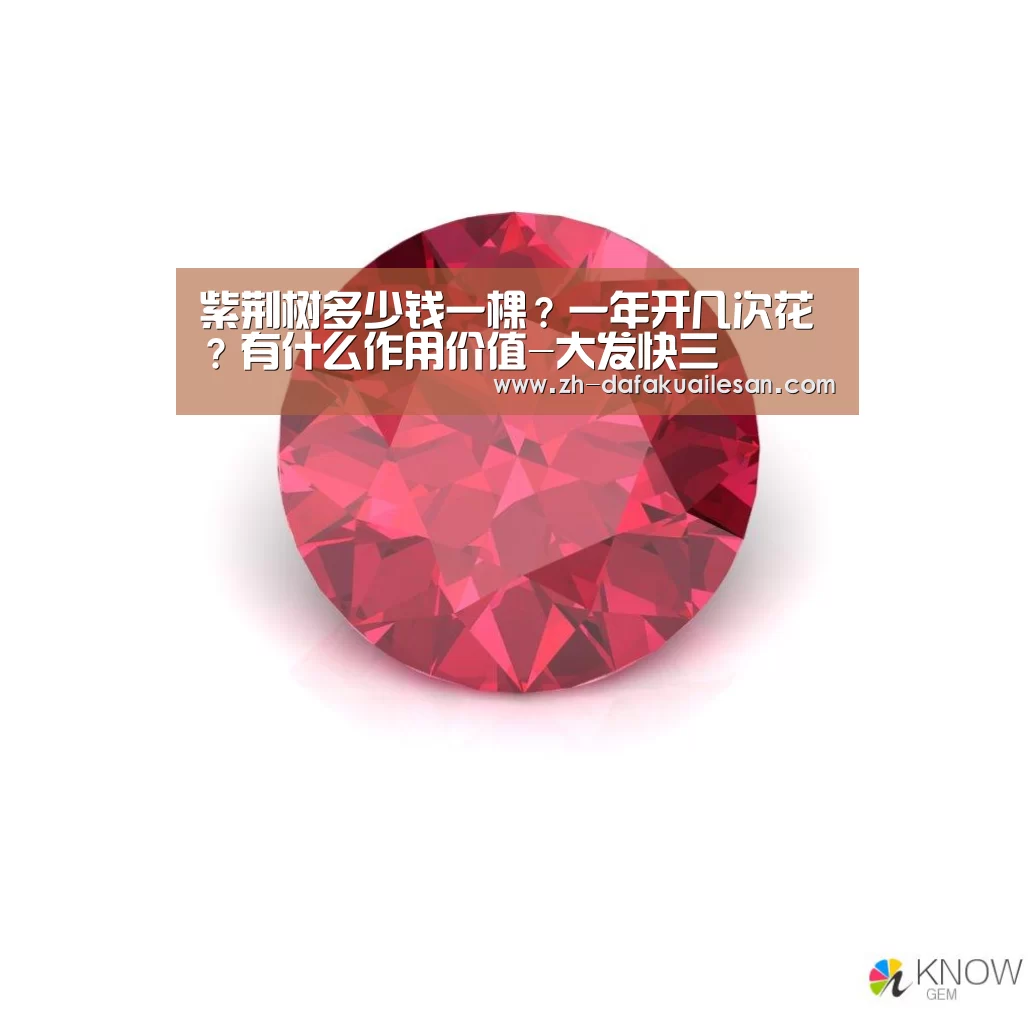 大发快三