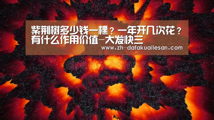 大发快三