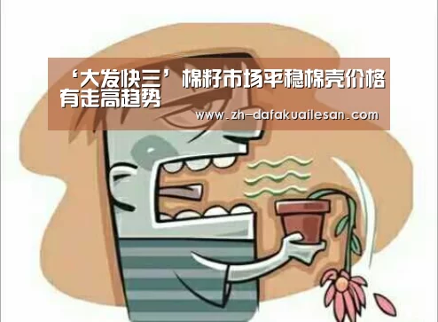大发快三