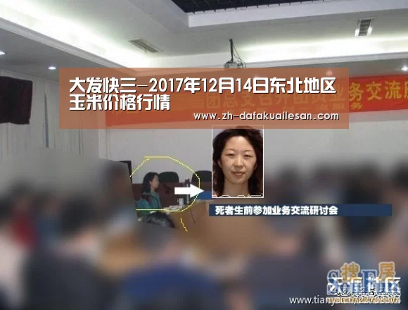 大发快三